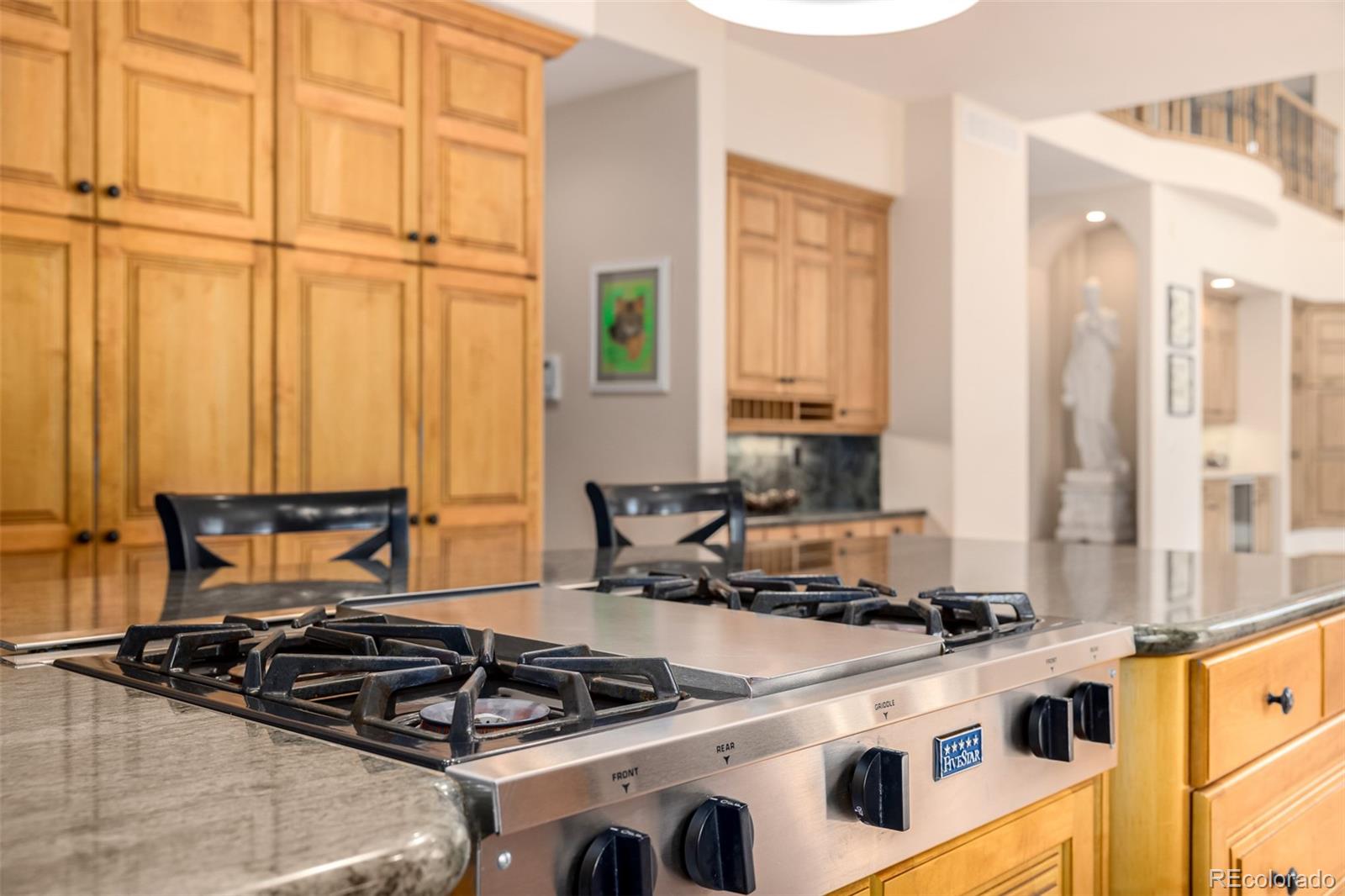 MLS Image #13 for 22554  treetop lane,golden, Colorado