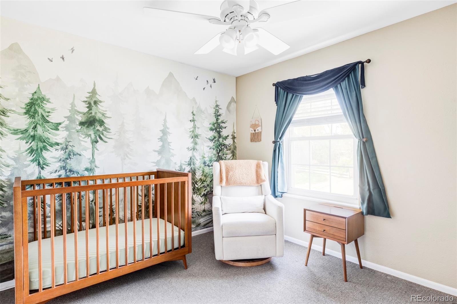 MLS Image #19 for 10422  nelson court,broomfield, Colorado