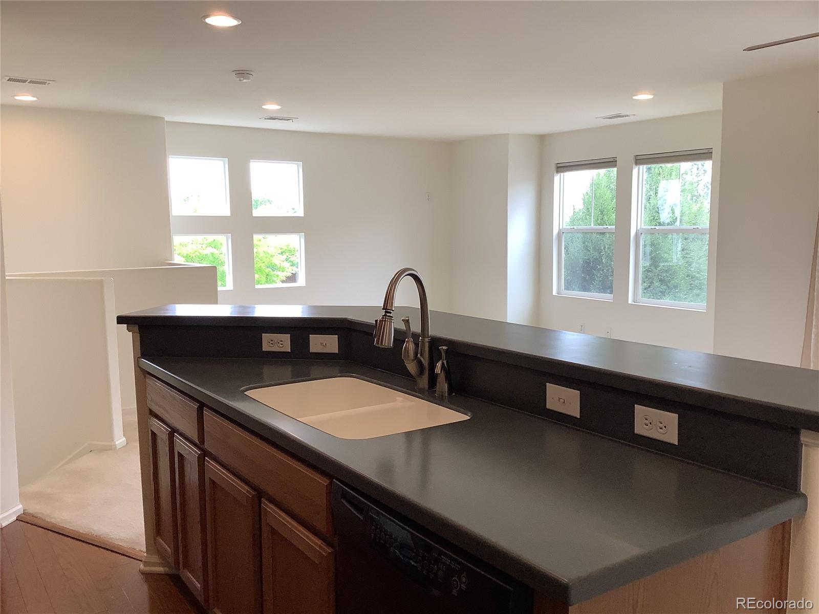 MLS Image #10 for 11947  riverstone circle,henderson, Colorado