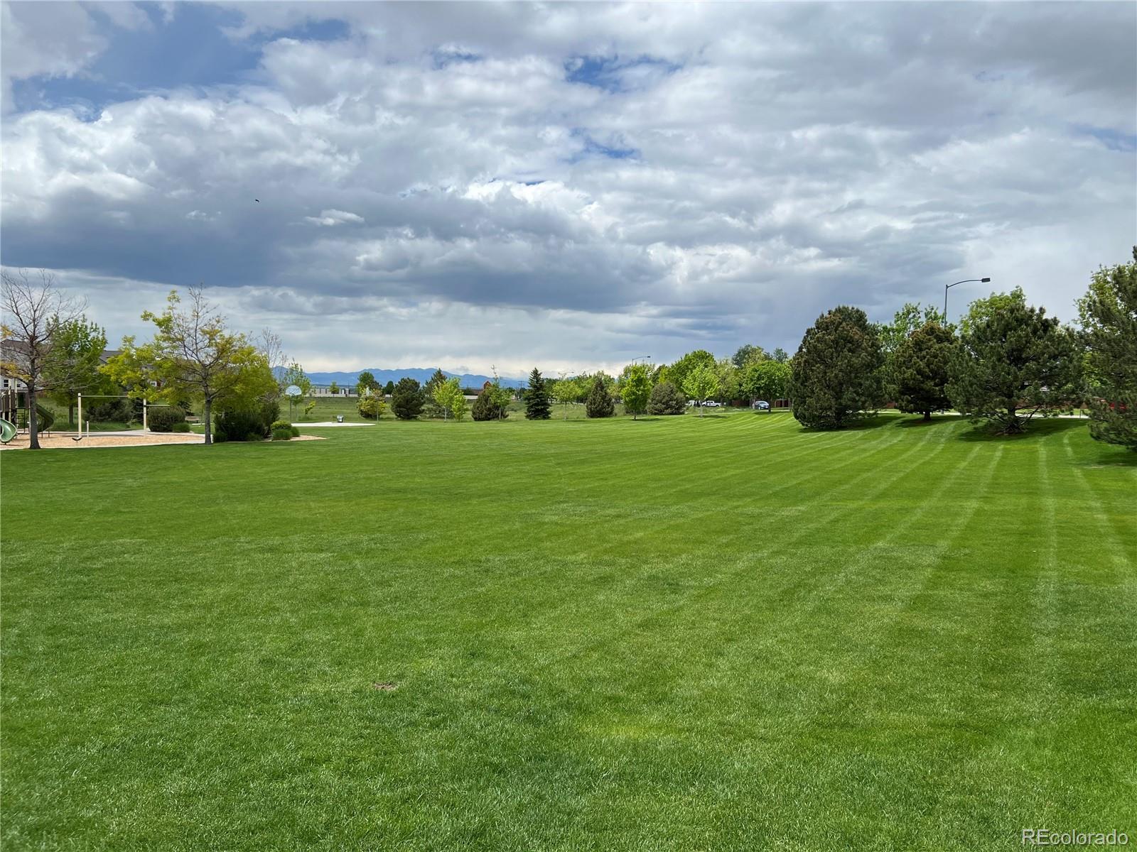MLS Image #45 for 11947  riverstone circle,henderson, Colorado