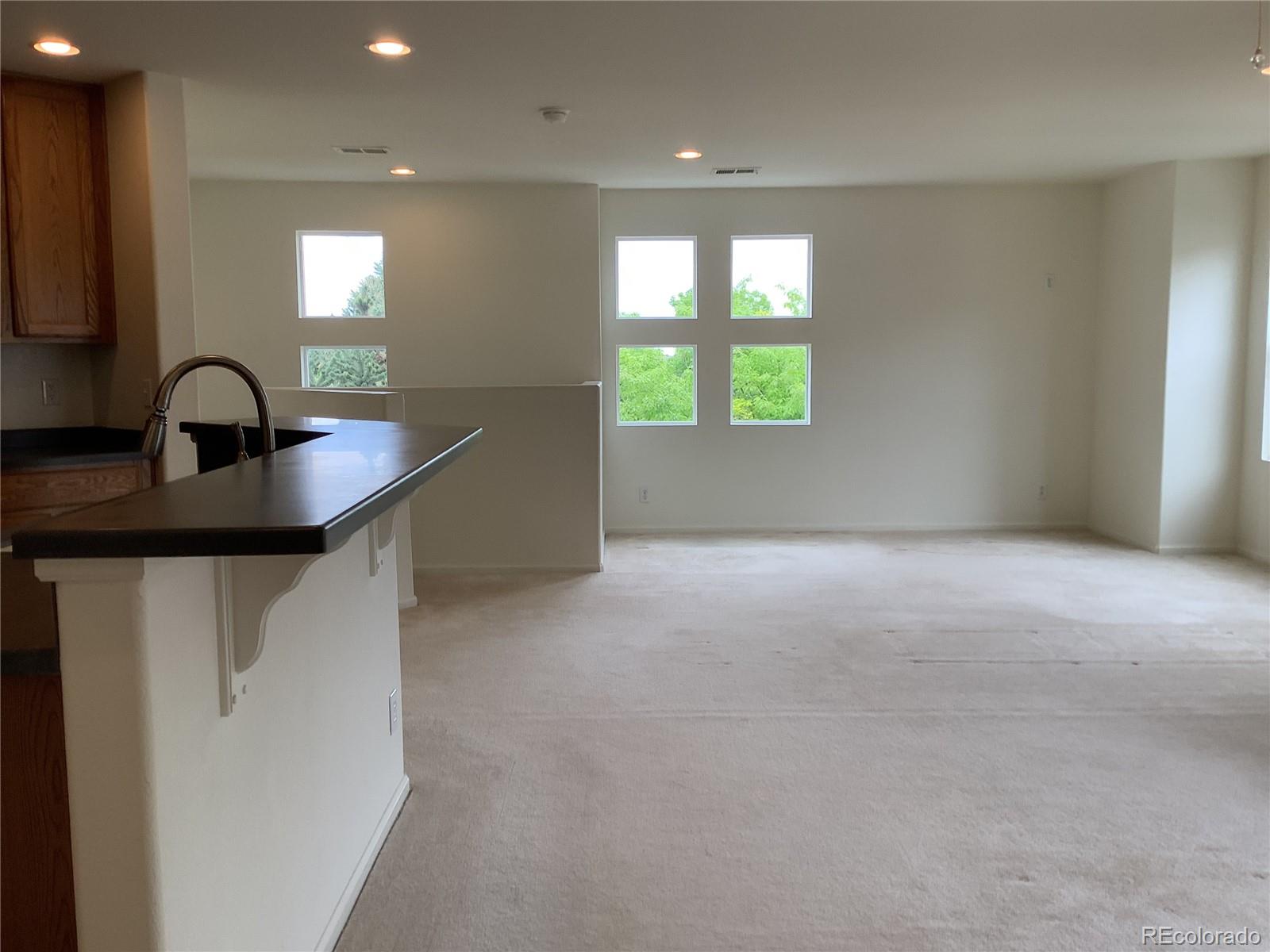 MLS Image #8 for 11947  riverstone circle,henderson, Colorado