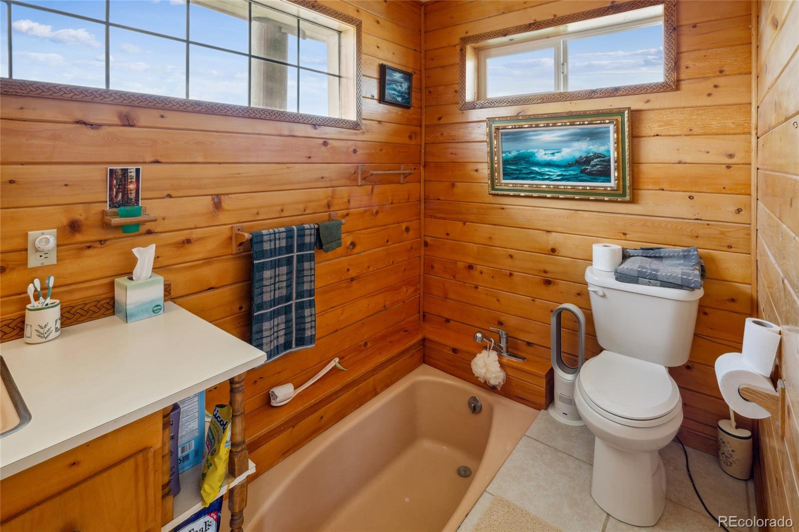 MLS Image #22 for 107  9th street,moffat, Colorado