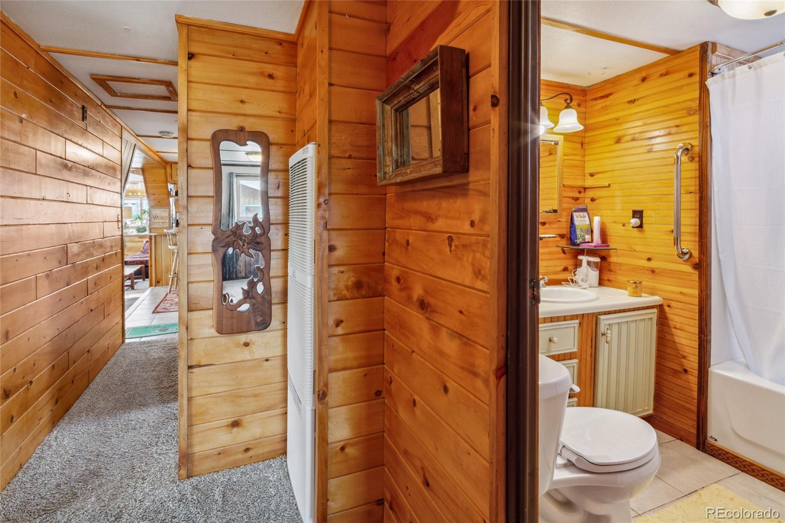 MLS Image #29 for 107  9th street,moffat, Colorado