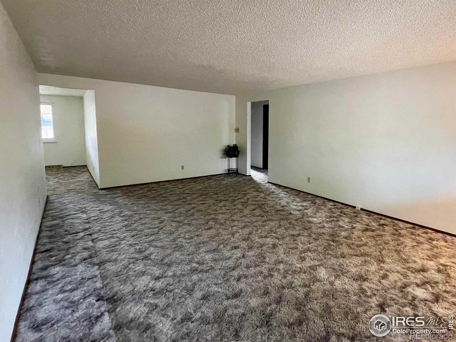 MLS Image #5 for 1701  jewel drive,longmont, Colorado