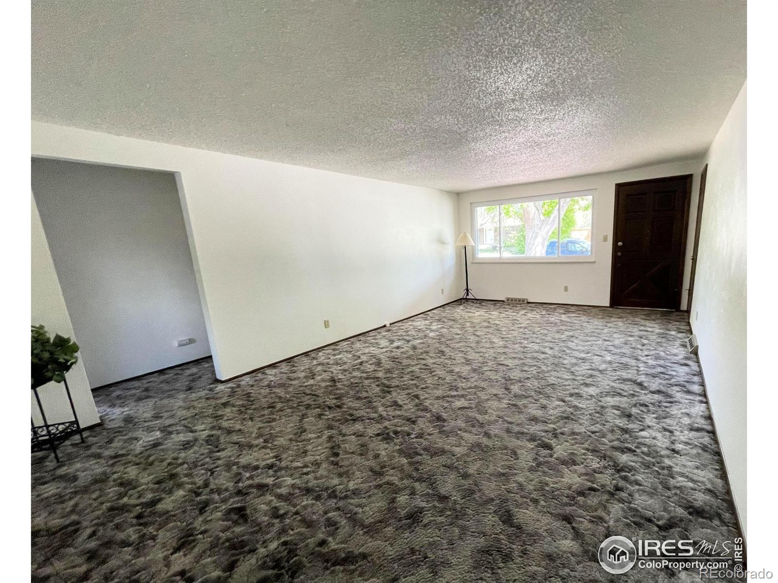 MLS Image #6 for 1701  jewel drive,longmont, Colorado