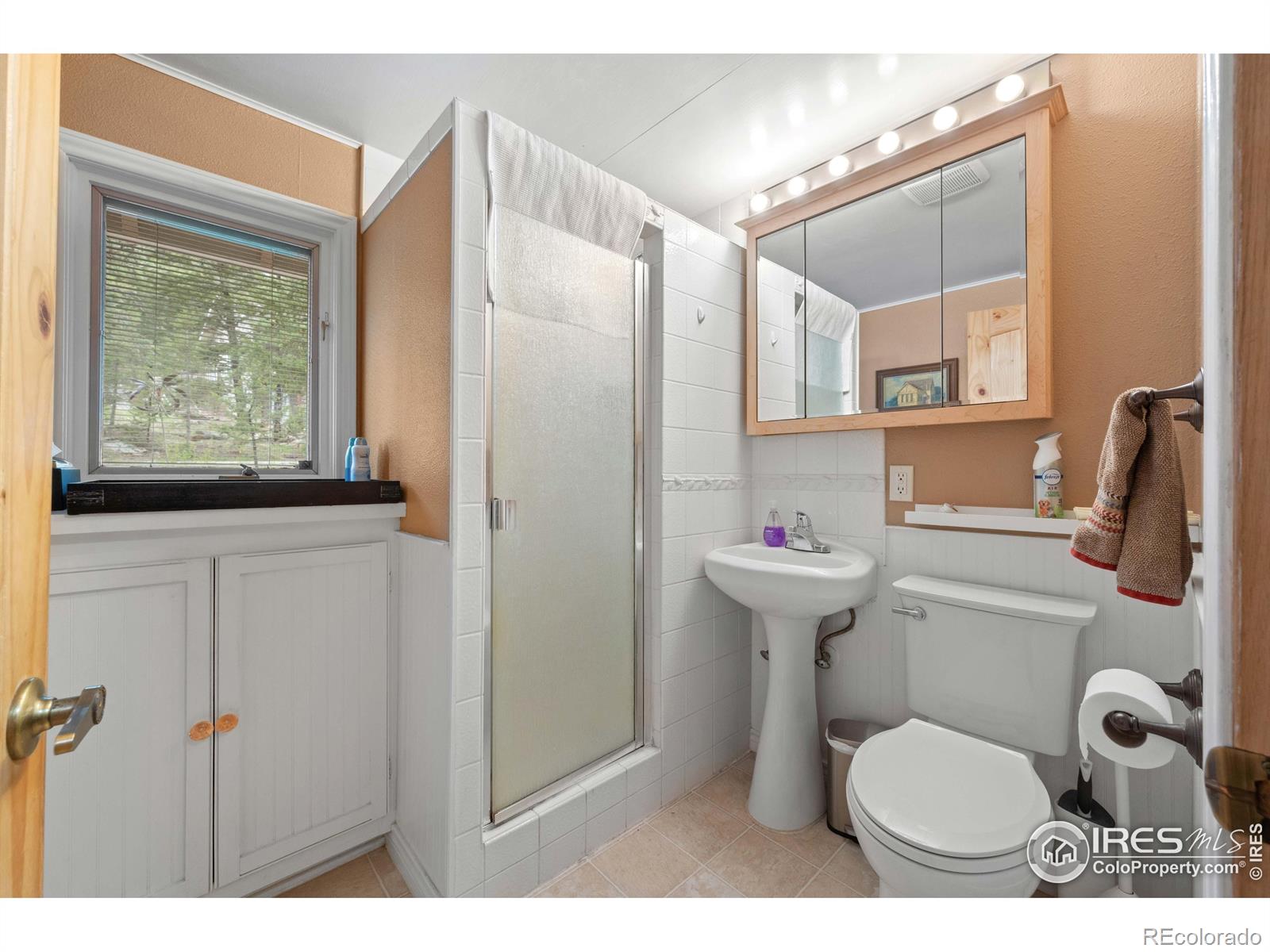 MLS Image #14 for 332  cedar drive,lyons, Colorado