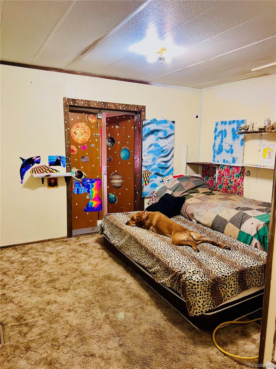MLS Image #15 for 745  cedar avenue,cedaredge, Colorado