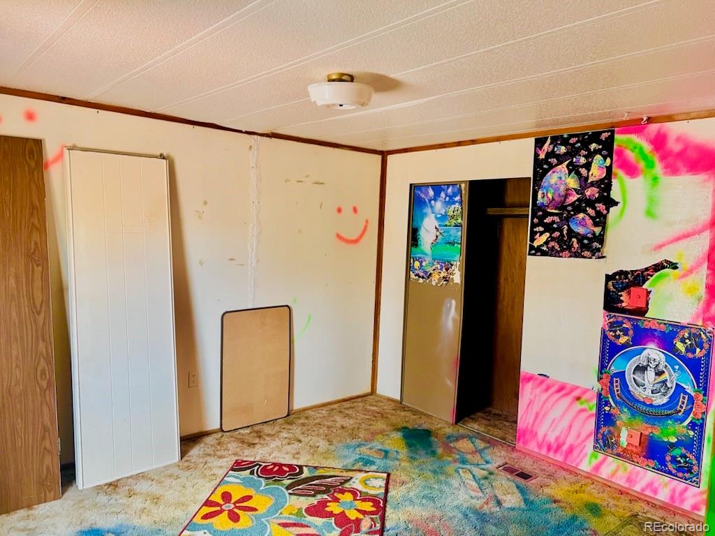 MLS Image #9 for 745  cedar avenue,cedaredge, Colorado