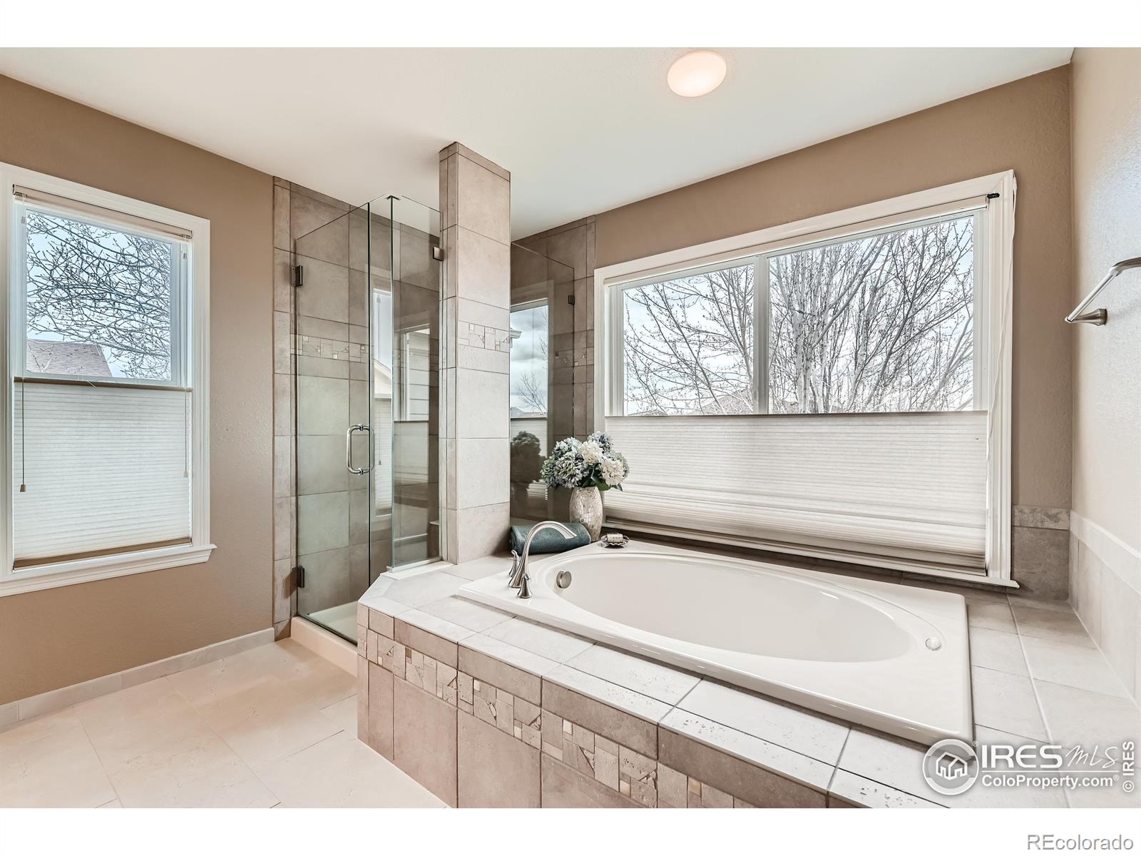 MLS Image #21 for 14180  whitney circle,broomfield, Colorado