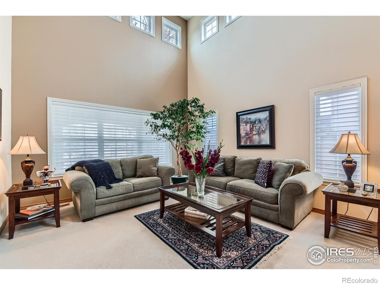 MLS Image #4 for 14180  whitney circle,broomfield, Colorado