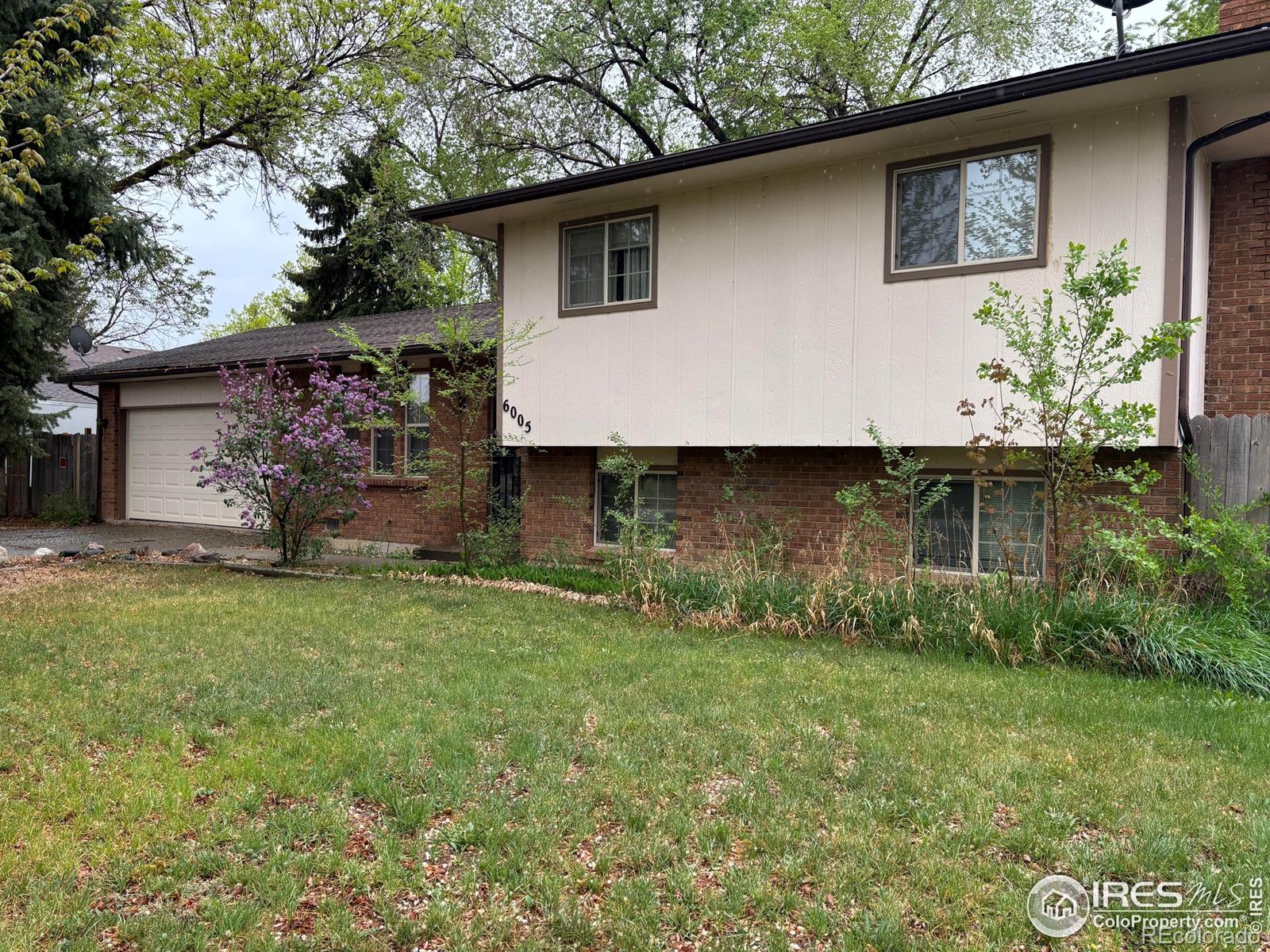 MLS Image #0 for 6005  mossycup court,loveland, Colorado