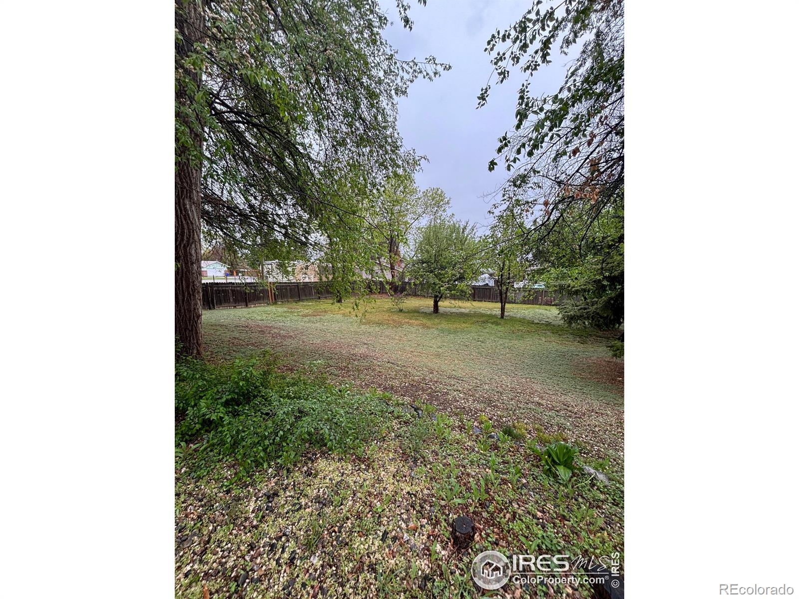 MLS Image #1 for 6005  mossycup court,loveland, Colorado