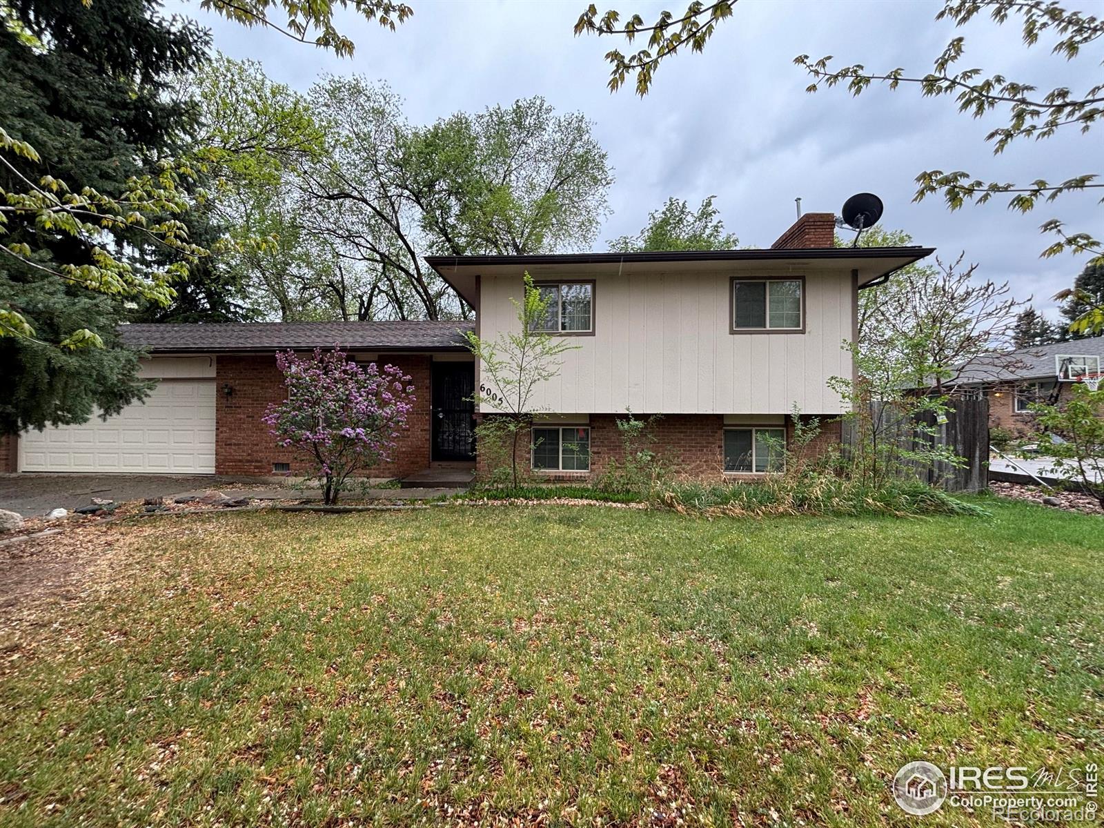 MLS Image #10 for 6005  mossycup court,loveland, Colorado