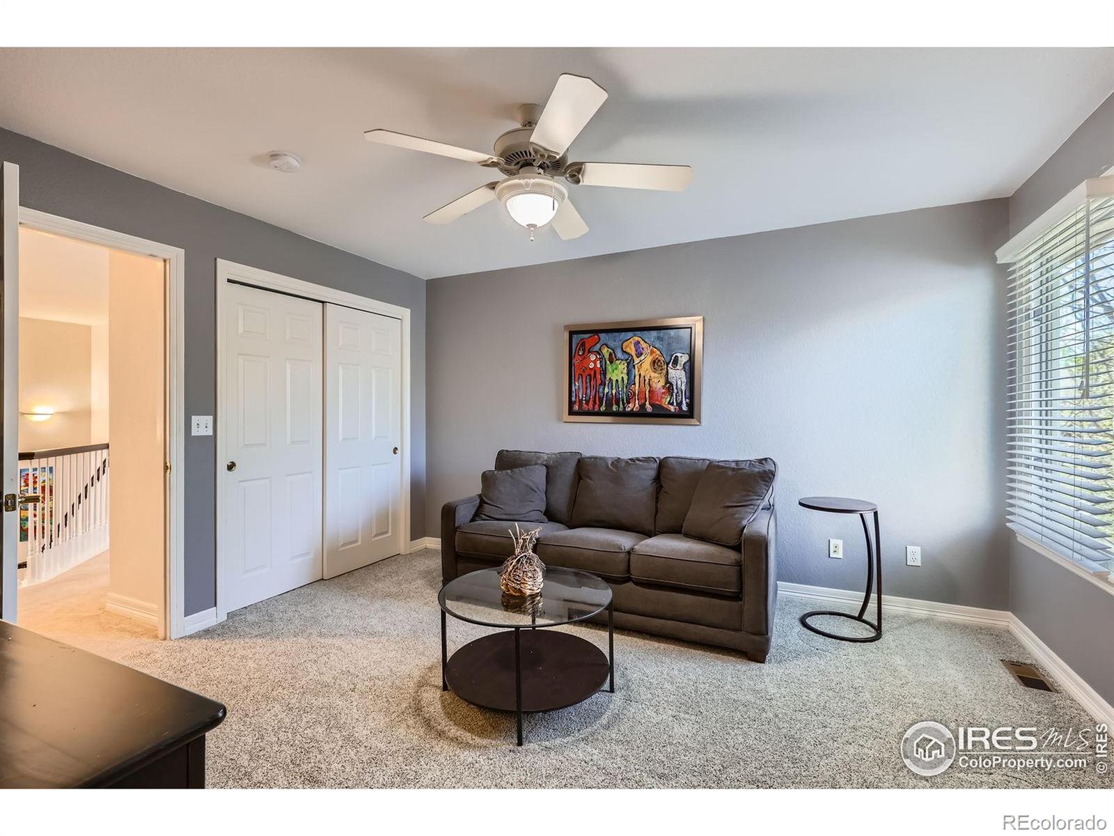 MLS Image #21 for 933  xenon court,golden, Colorado