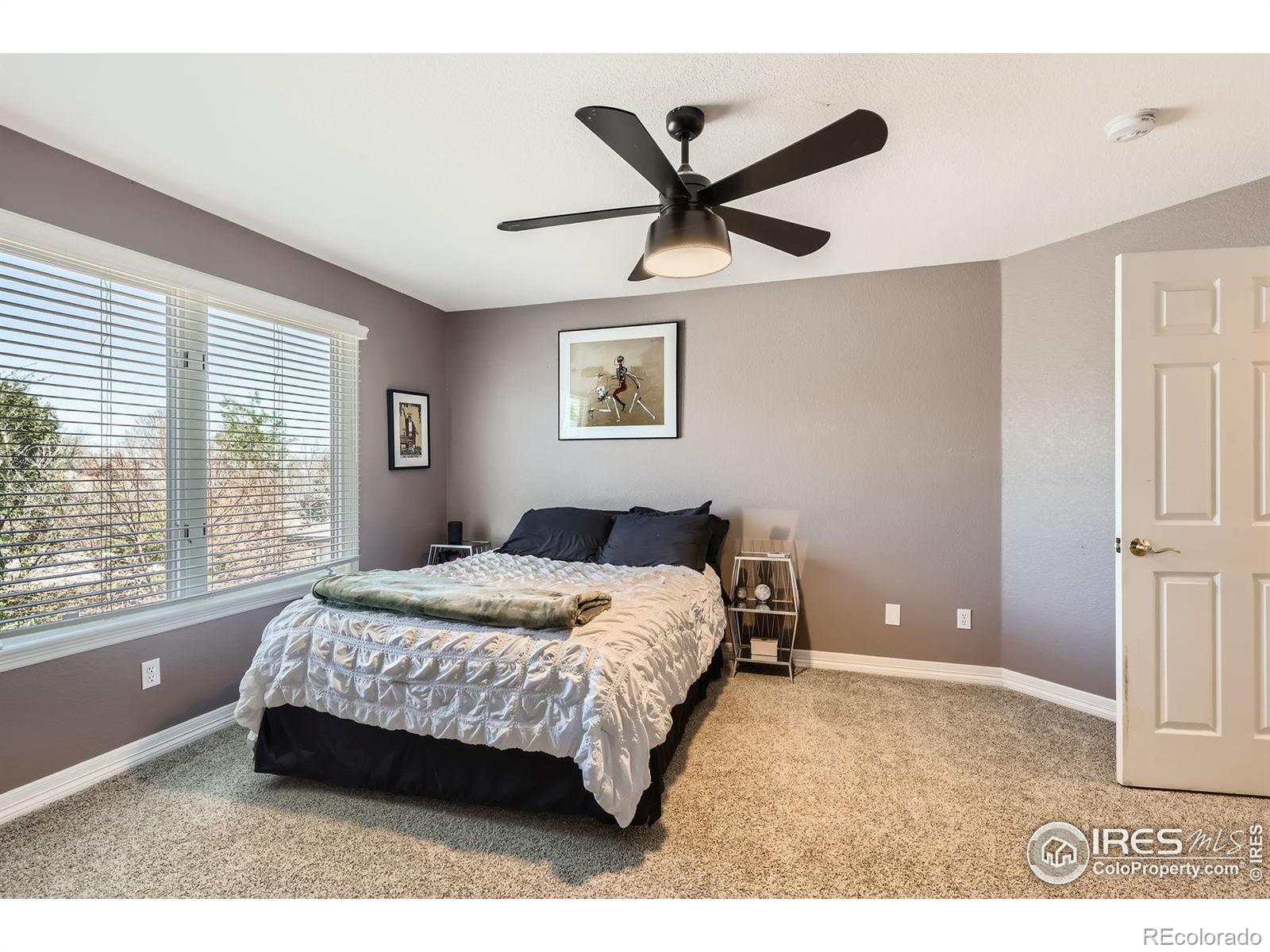 MLS Image #22 for 933  xenon court,golden, Colorado