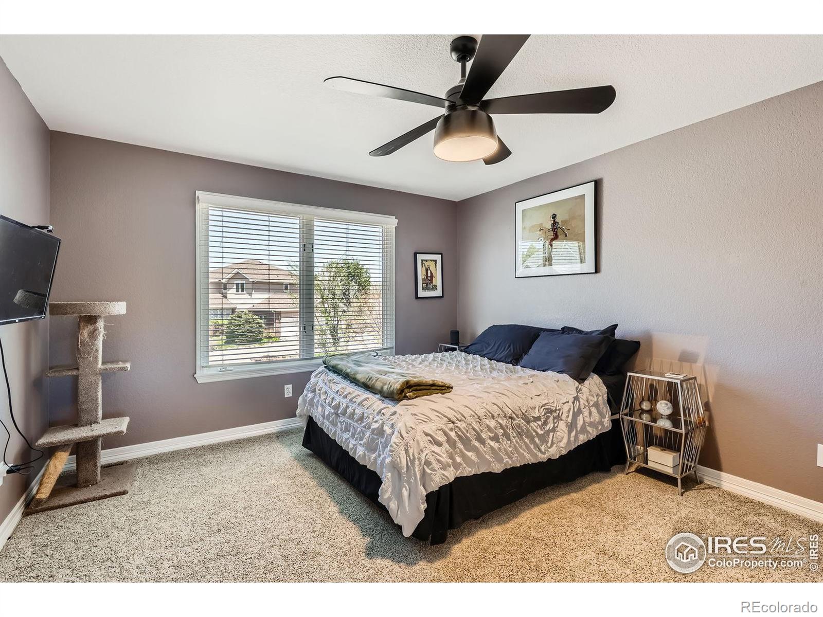 MLS Image #23 for 933  xenon court,golden, Colorado