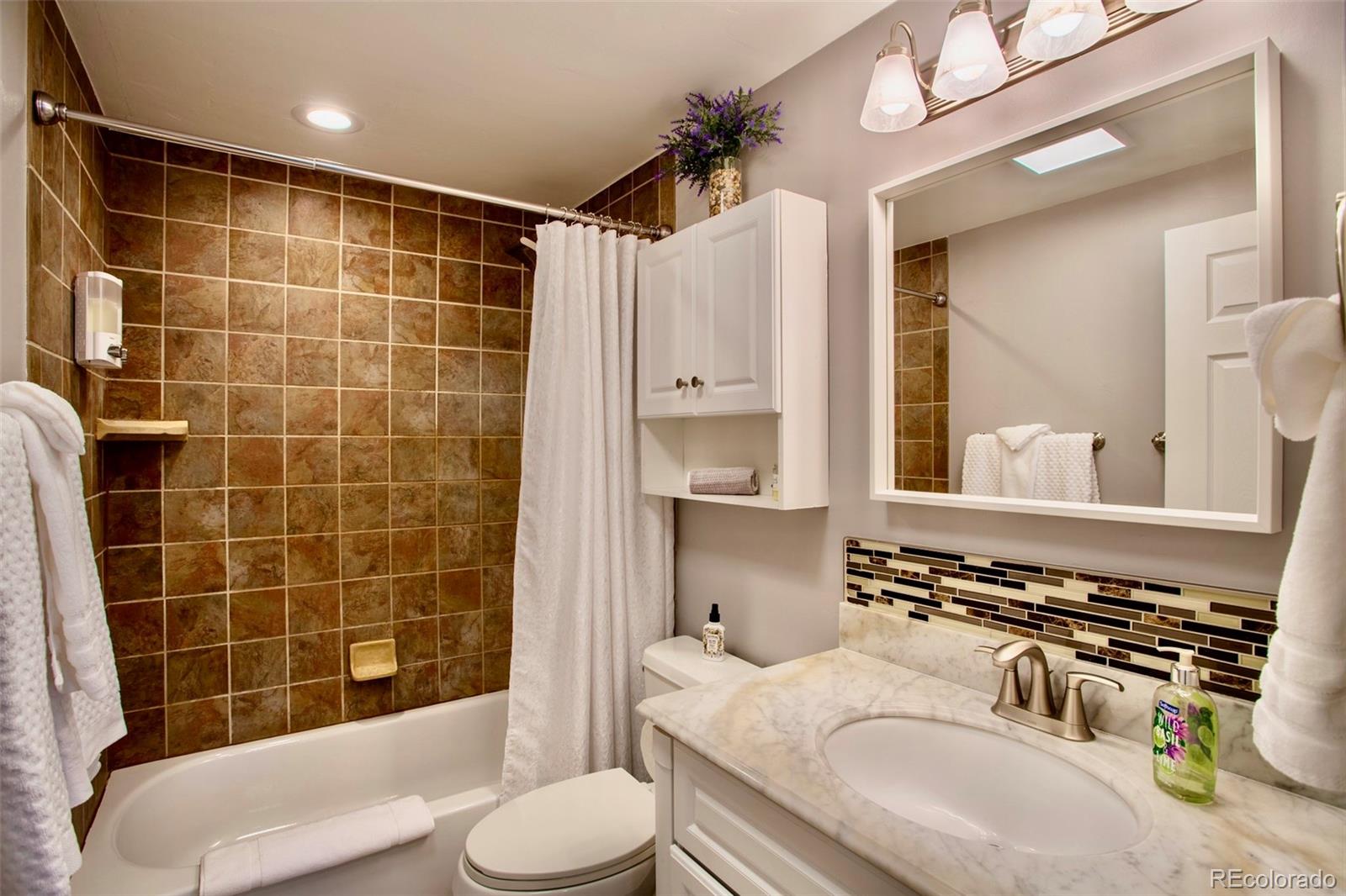 MLS Image #7 for 472  ryan gulch road,silverthorne, Colorado