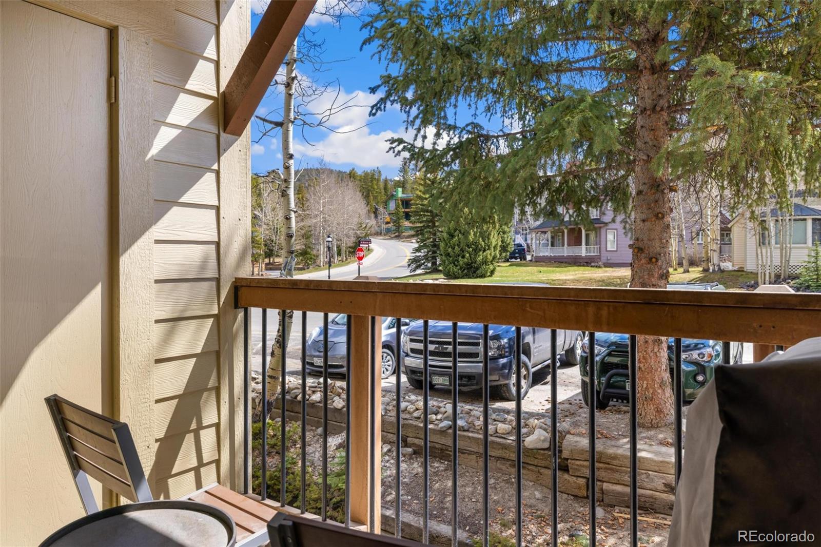 MLS Image #18 for 107 n harris street,breckenridge, Colorado