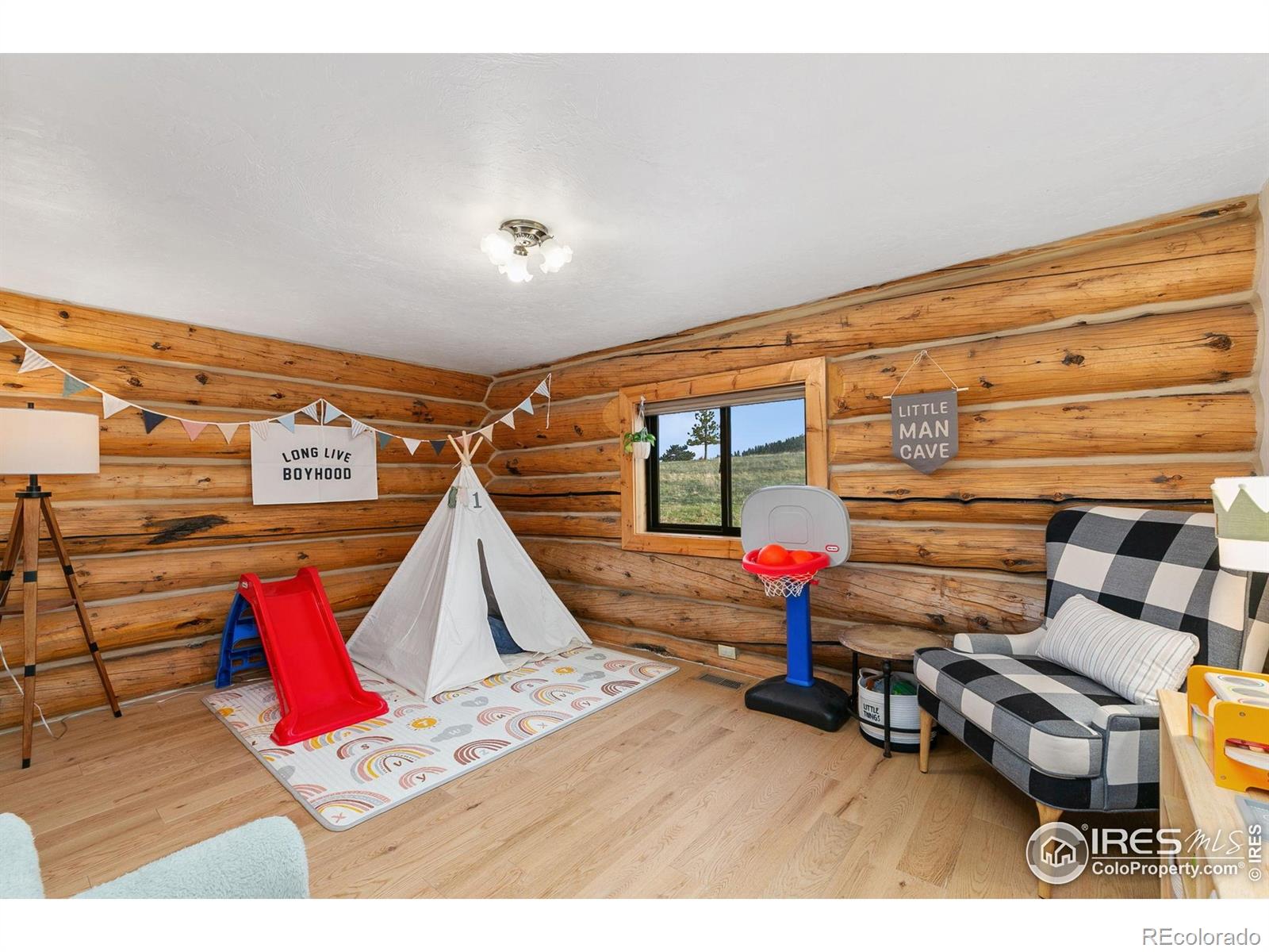 MLS Image #10 for 344  snowmass drive,livermore, Colorado