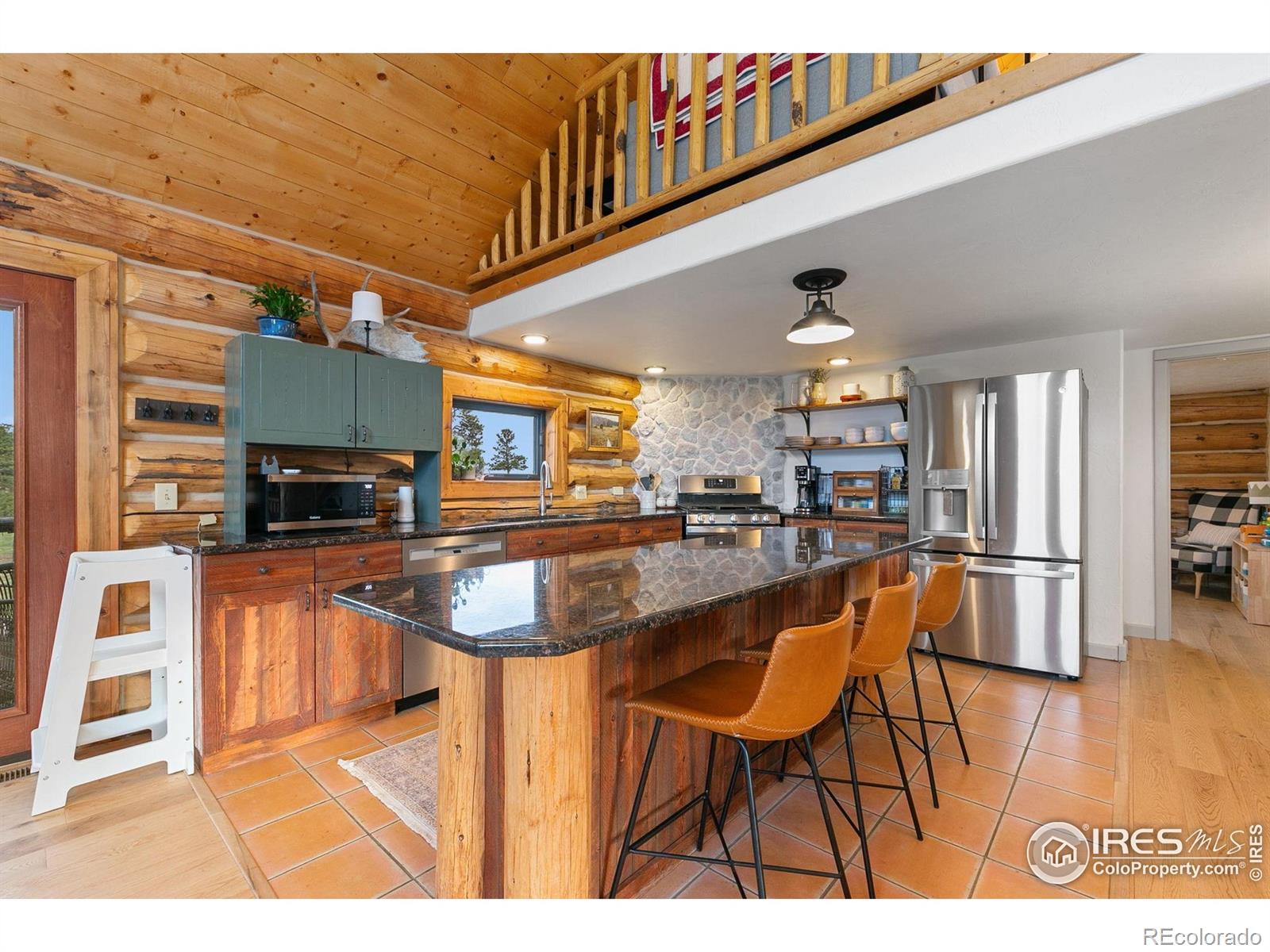 MLS Image #7 for 344  snowmass drive,livermore, Colorado