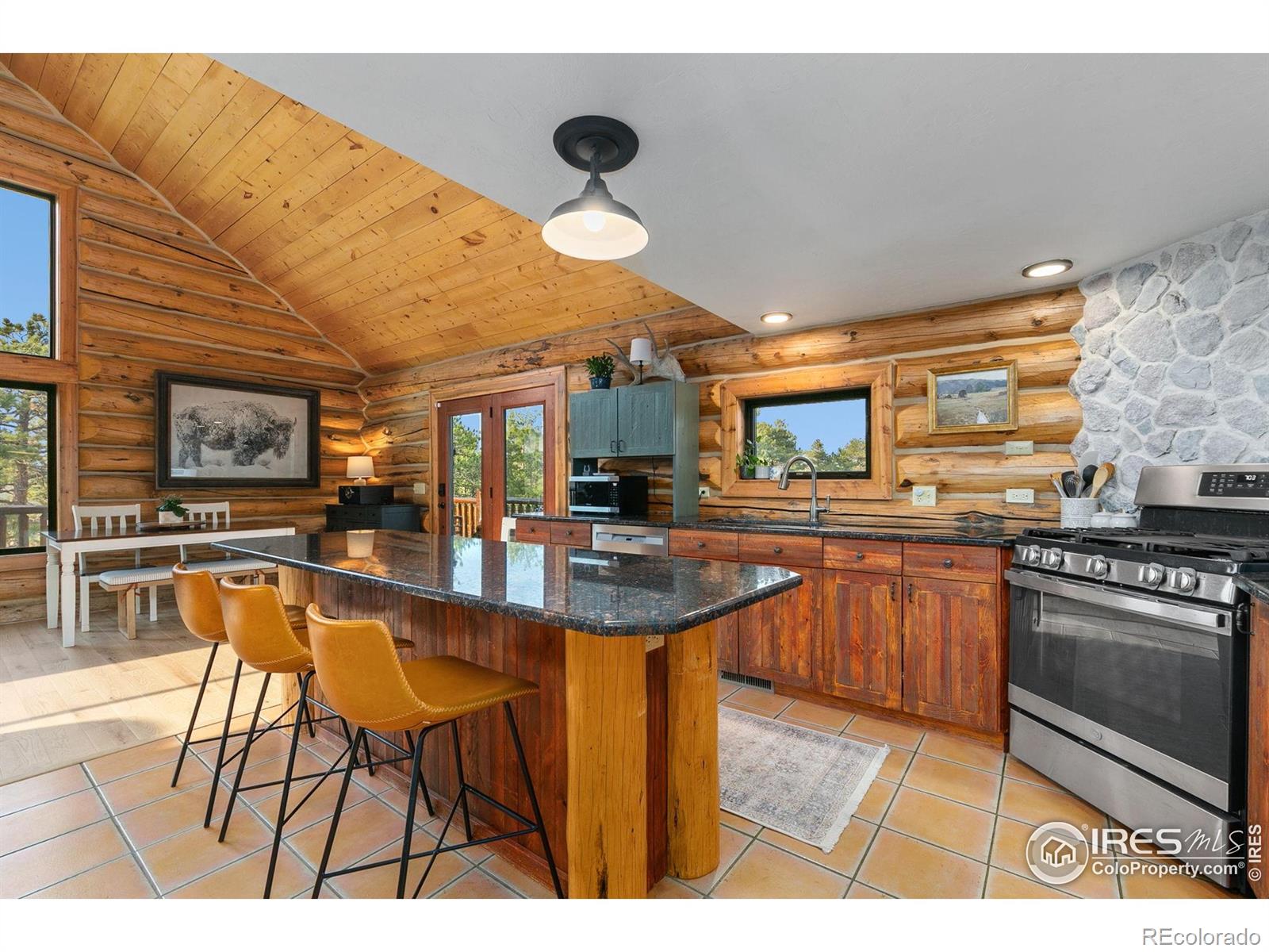 MLS Image #9 for 344  snowmass drive,livermore, Colorado