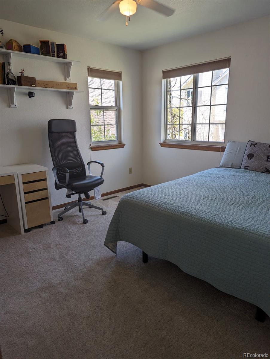 MLS Image #18 for 21734  farmingdale court,parker, Colorado