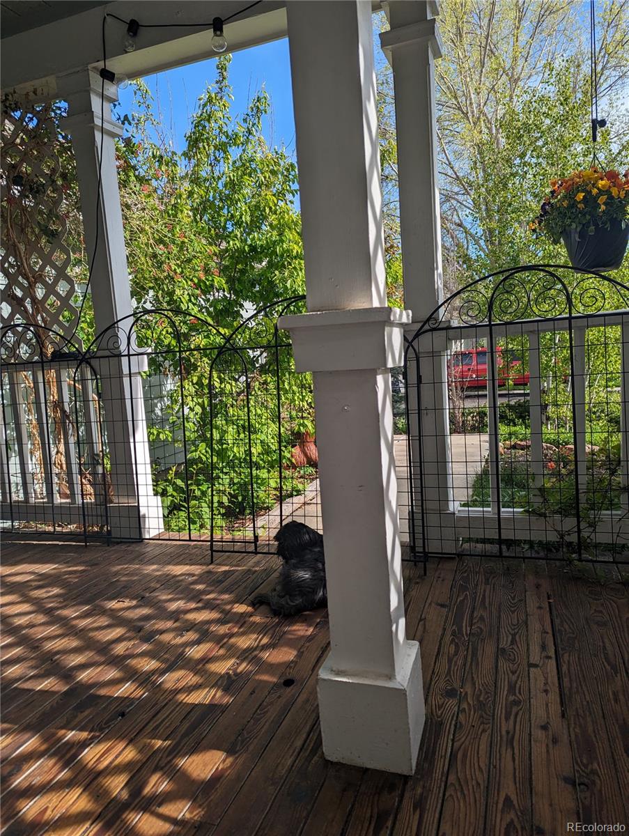 MLS Image #31 for 21734  farmingdale court,parker, Colorado