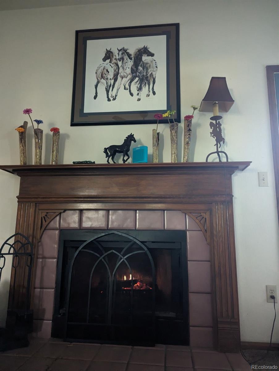 MLS Image #32 for 21734  farmingdale court,parker, Colorado