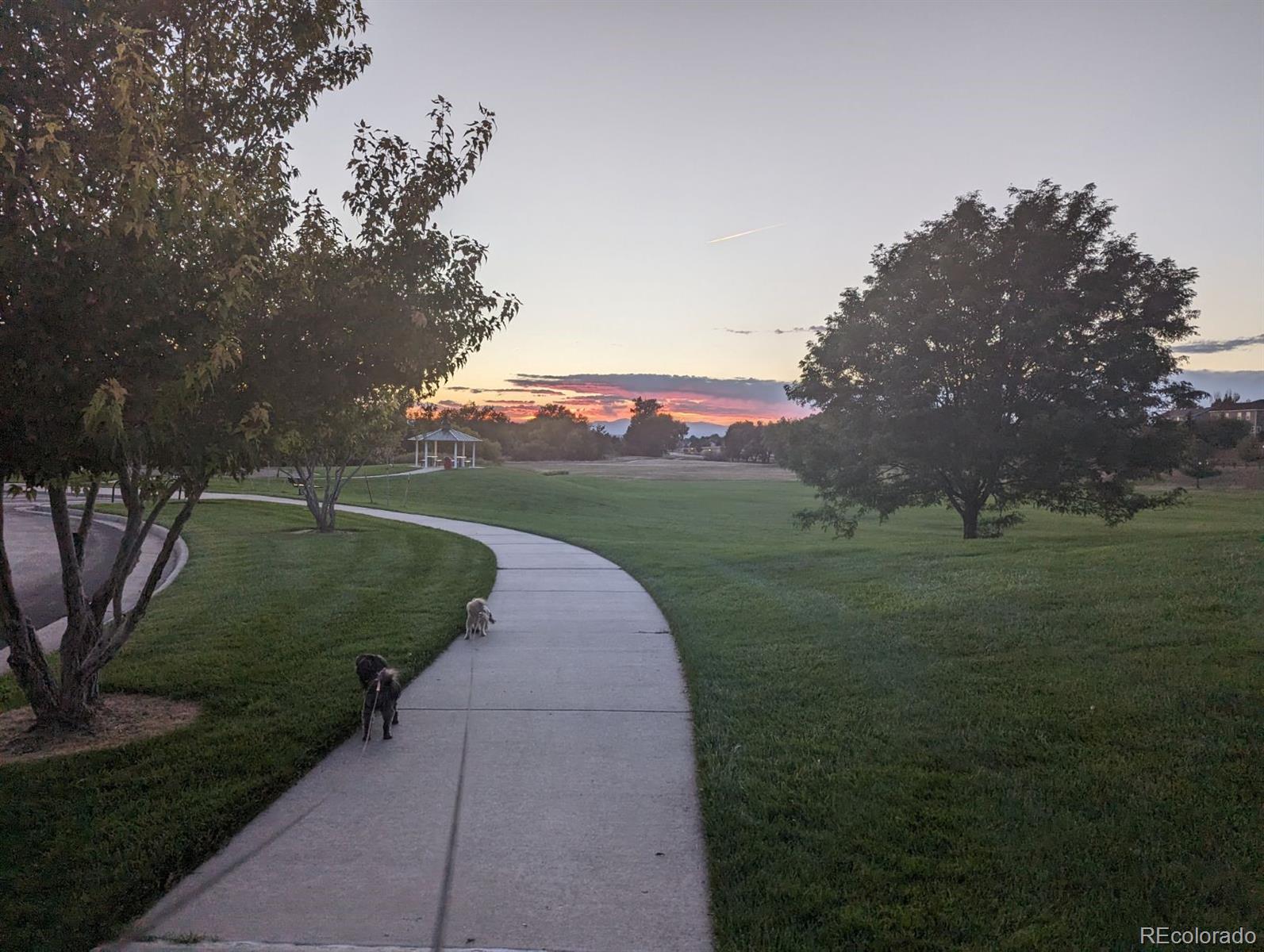 MLS Image #34 for 21734  farmingdale court,parker, Colorado