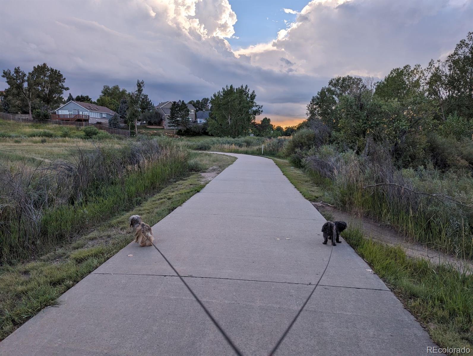 MLS Image #35 for 21734  farmingdale court,parker, Colorado