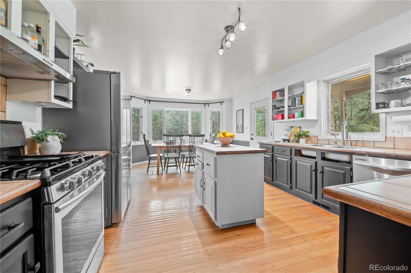 MLS Image #10 for 50  victoria road,pine, Colorado