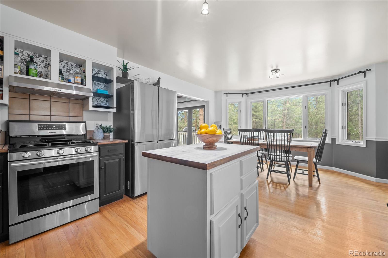 MLS Image #11 for 50  victoria road,pine, Colorado