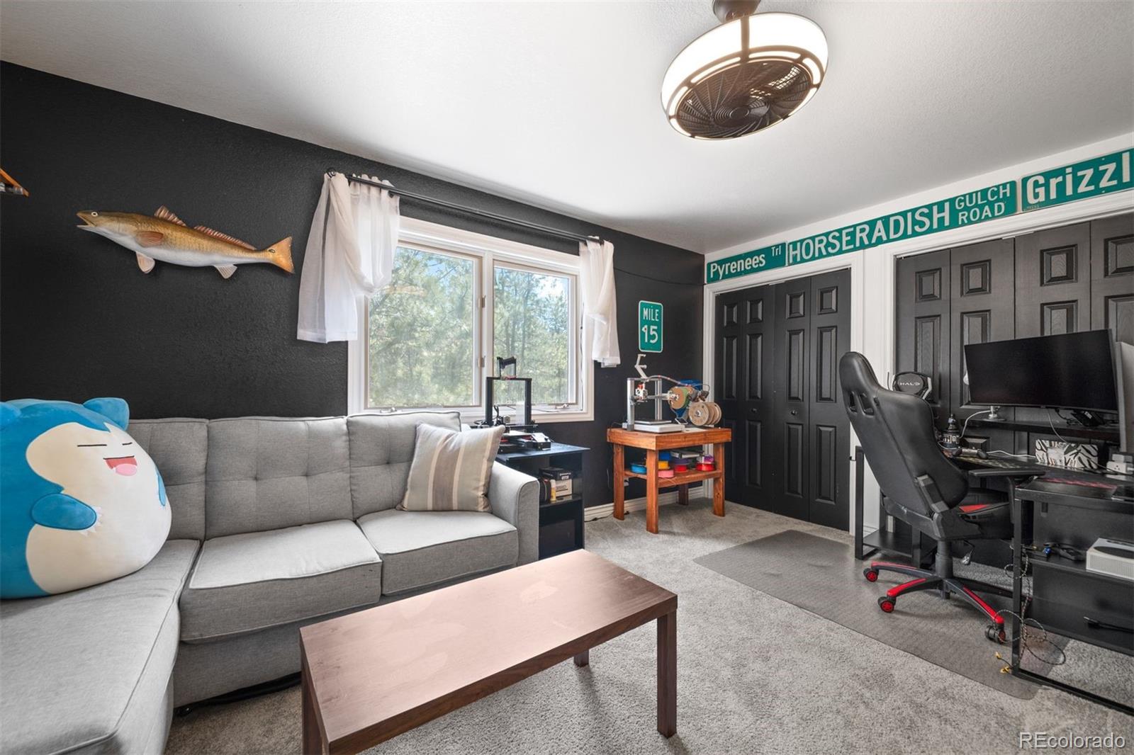 MLS Image #21 for 50  victoria road,pine, Colorado