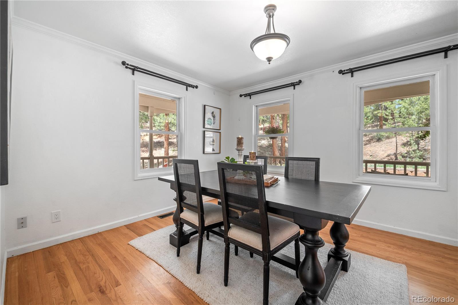 MLS Image #8 for 50  victoria road,pine, Colorado