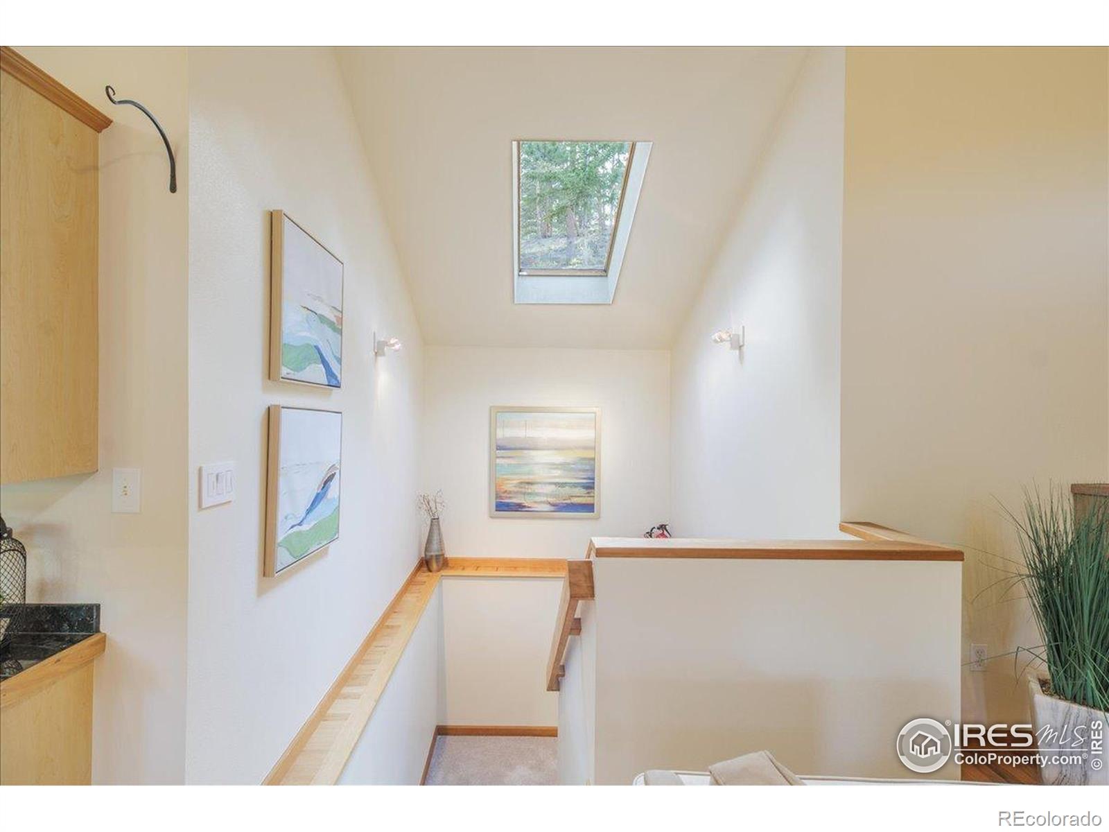 MLS Image #14 for 101  spruce street,jamestown, Colorado