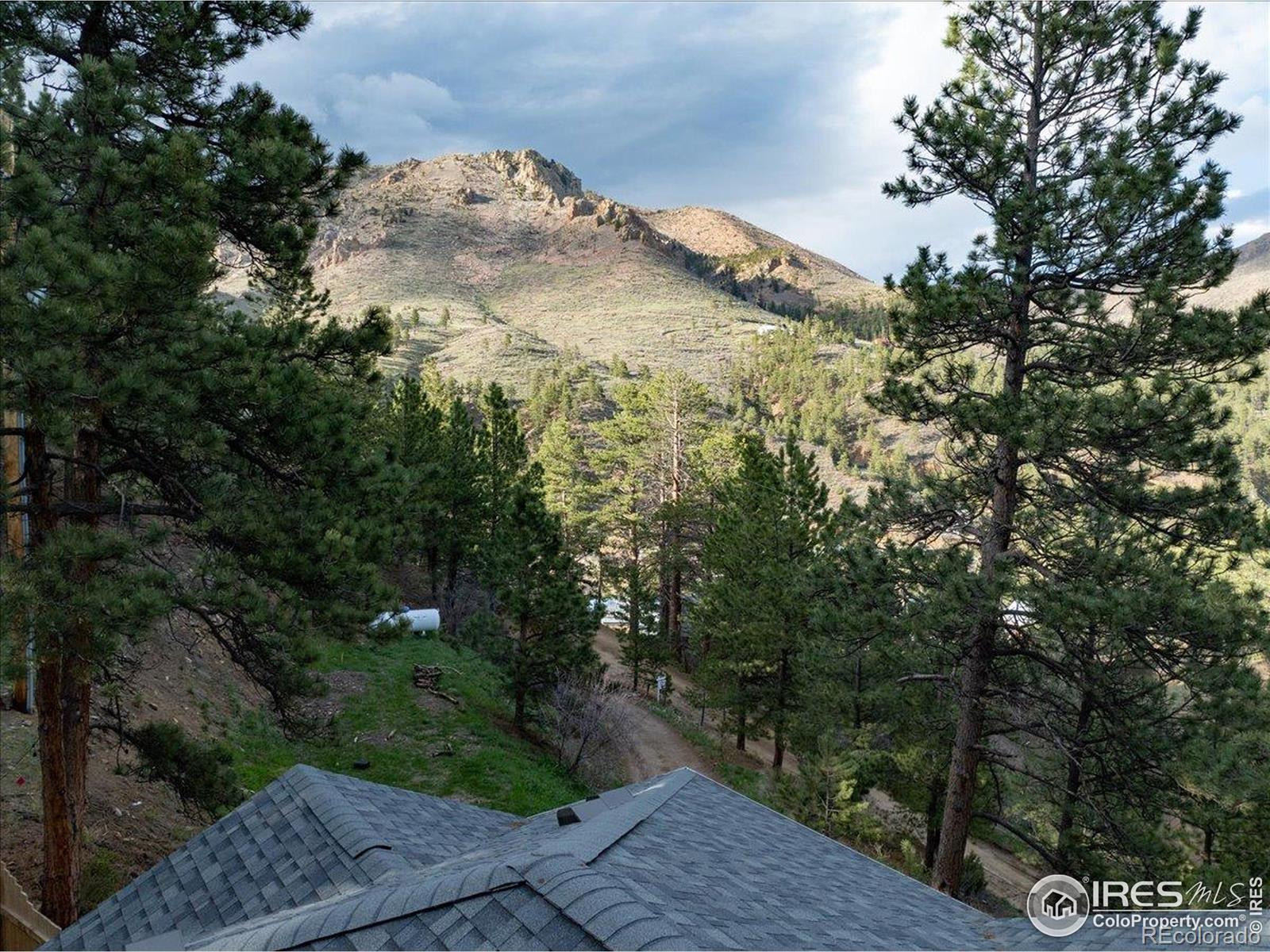 MLS Image #22 for 101  spruce street,jamestown, Colorado