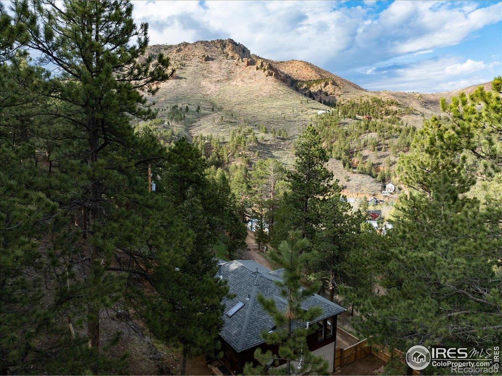 MLS Image #3 for 101  spruce street,jamestown, Colorado