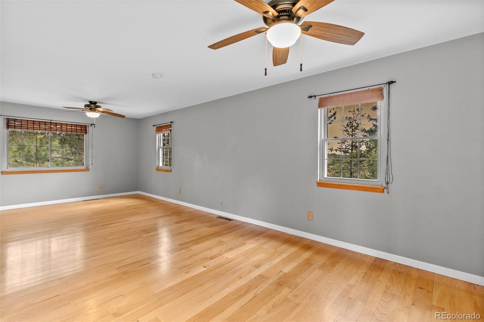 MLS Image #16 for 1185  fawnwood road,monument, Colorado
