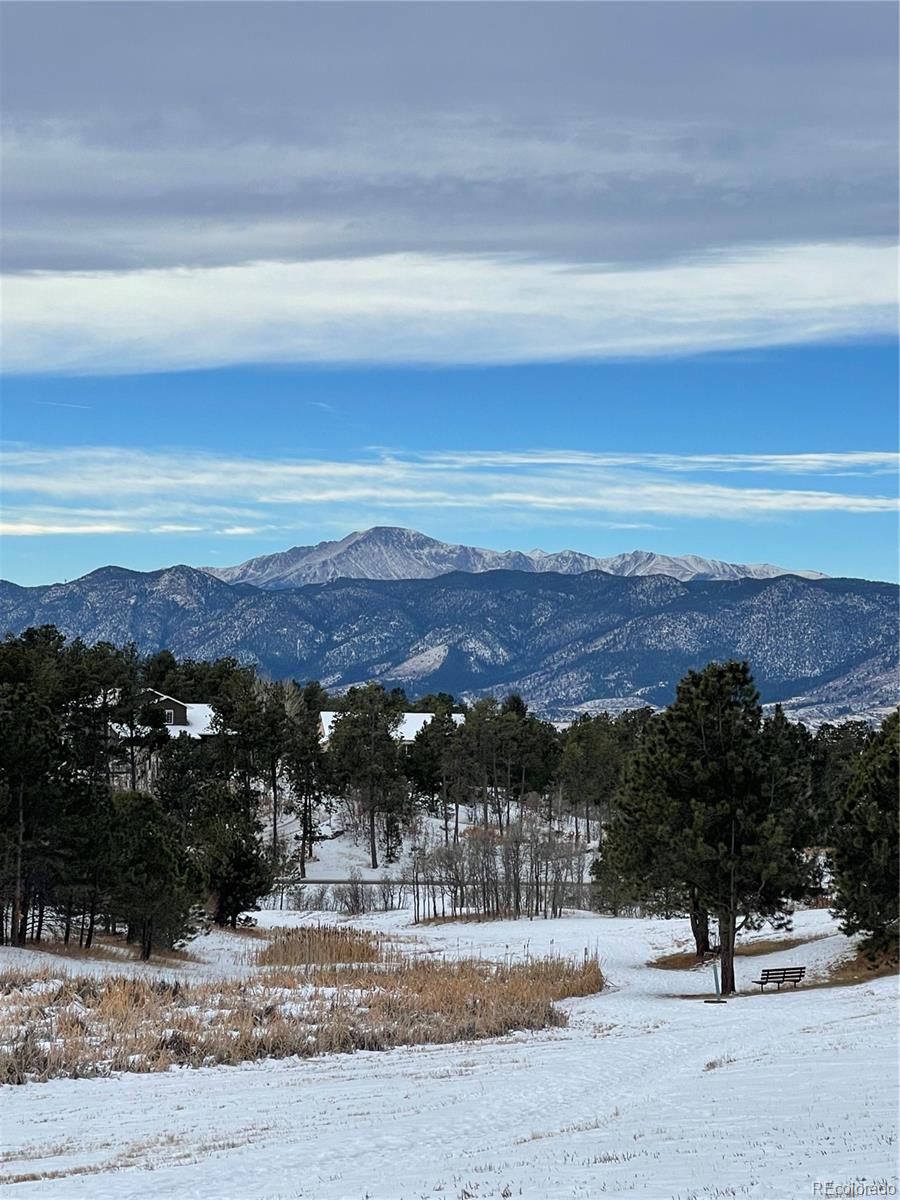 MLS Image #35 for 1185  fawnwood road,monument, Colorado