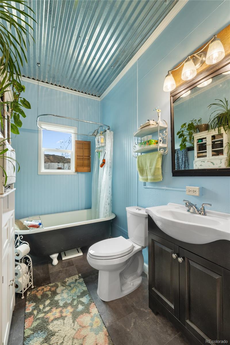 MLS Image #11 for 521 e 5th street,leadville, Colorado