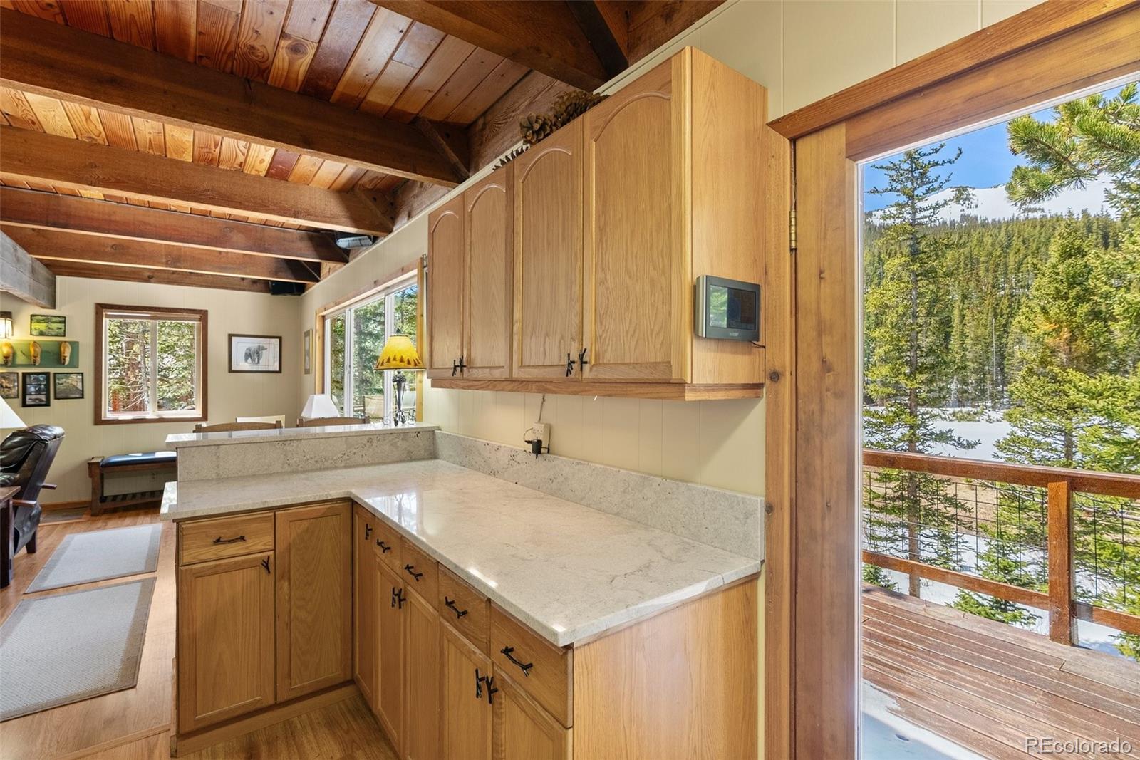 MLS Image #11 for 563  brook drive,idaho springs, Colorado