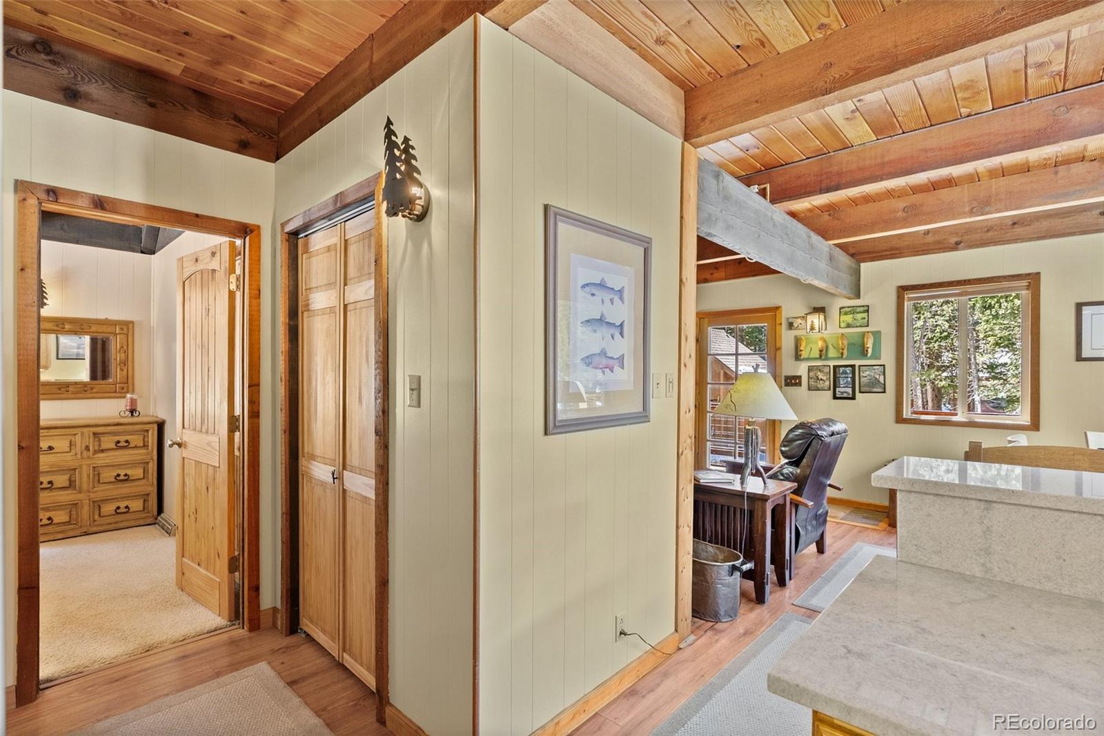 MLS Image #13 for 563  brook drive,idaho springs, Colorado