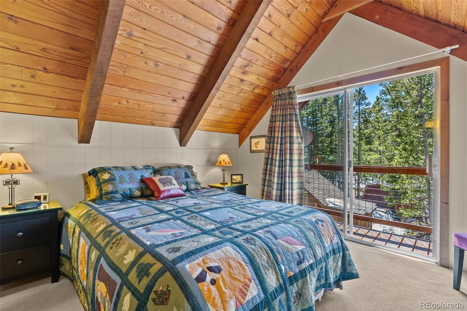 MLS Image #19 for 563  brook drive,idaho springs, Colorado