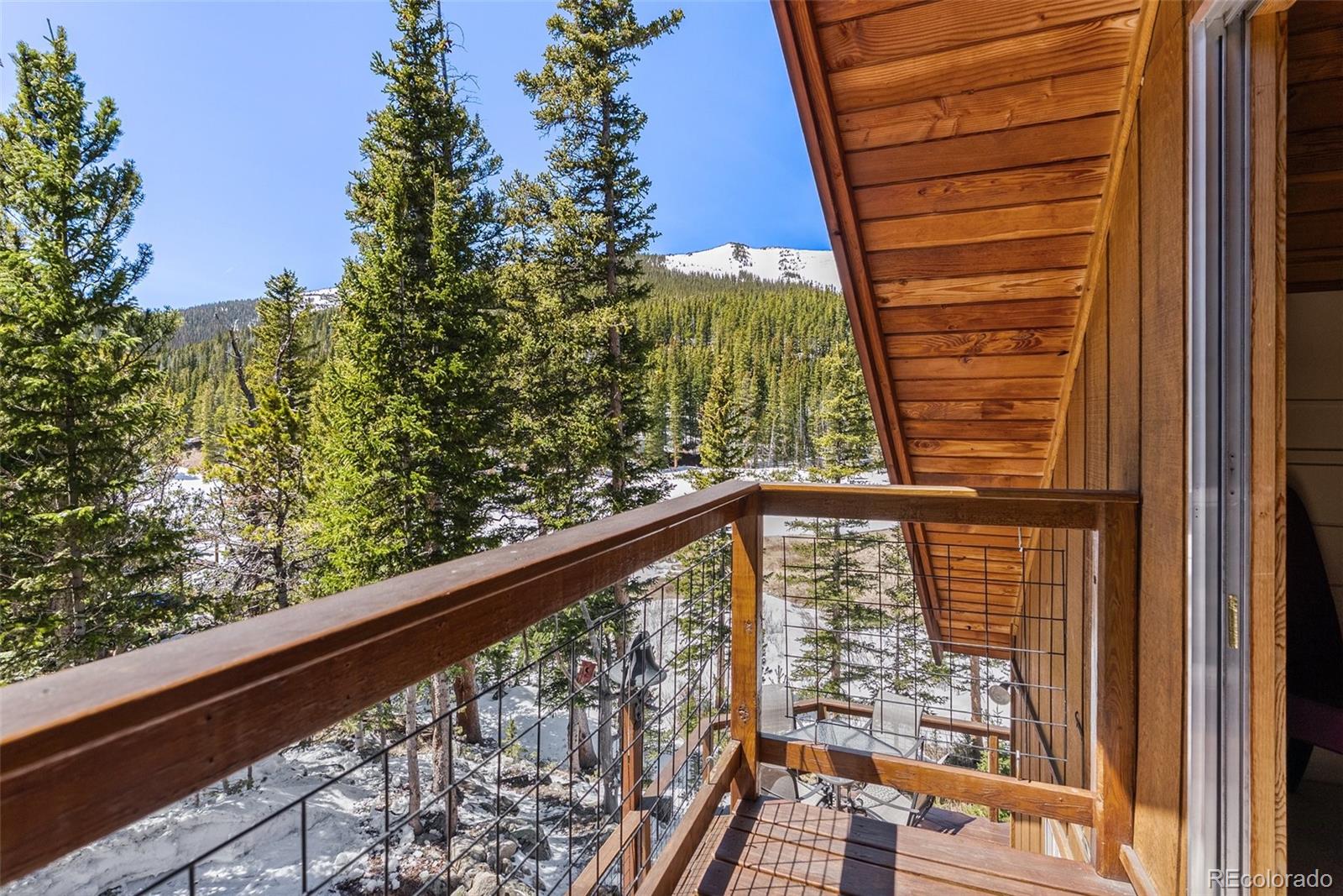MLS Image #21 for 563  brook drive,idaho springs, Colorado