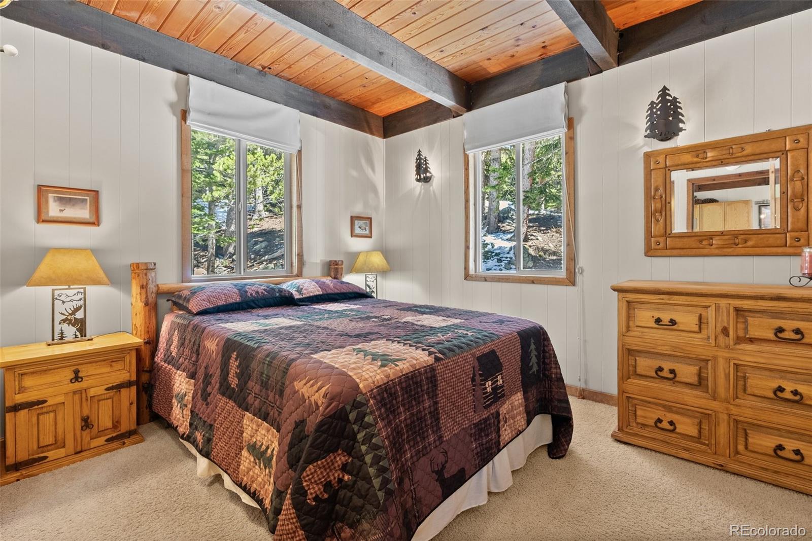 MLS Image #22 for 563  brook drive,idaho springs, Colorado