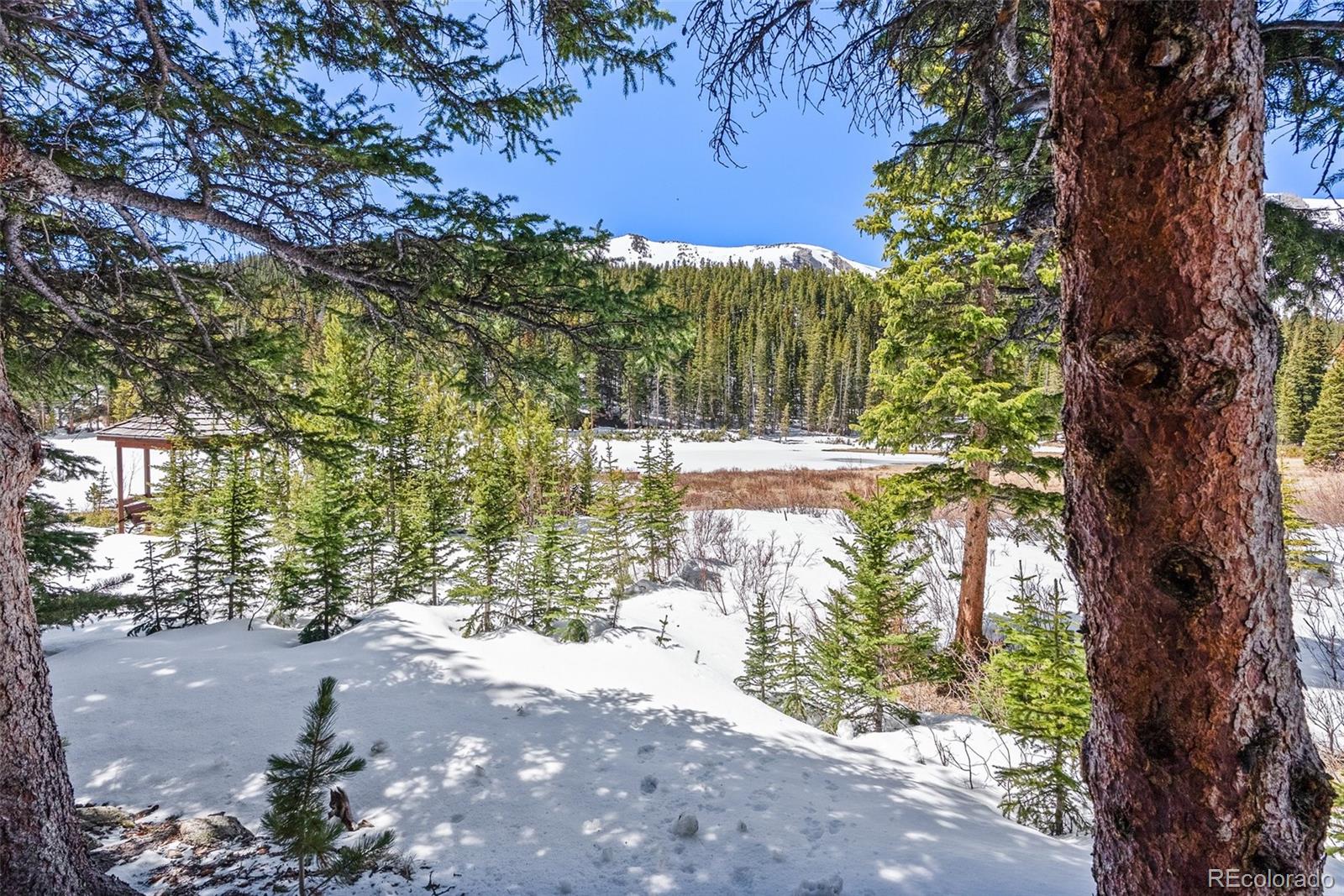 MLS Image #31 for 563  brook drive,idaho springs, Colorado
