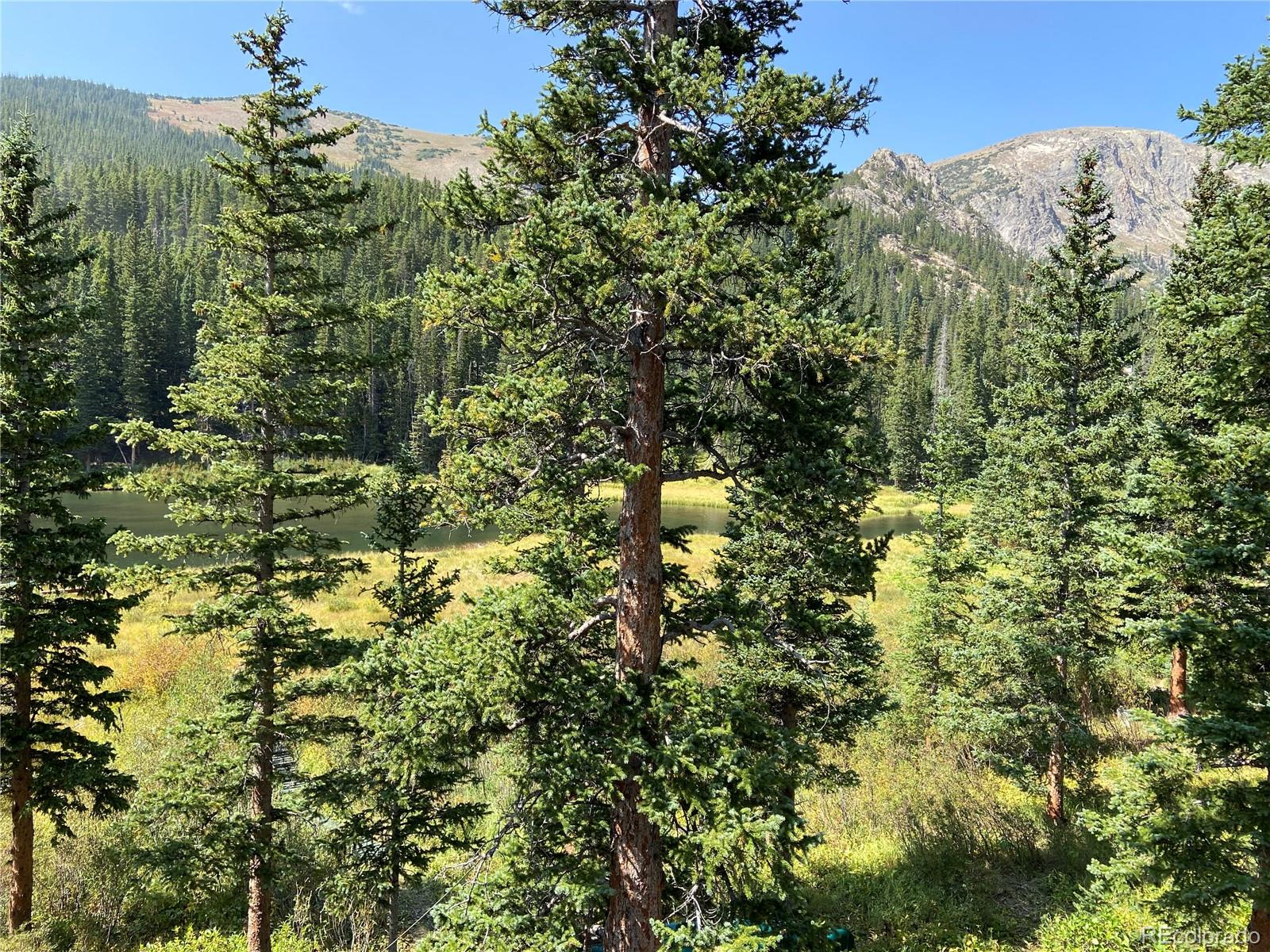 MLS Image #38 for 563  brook drive,idaho springs, Colorado