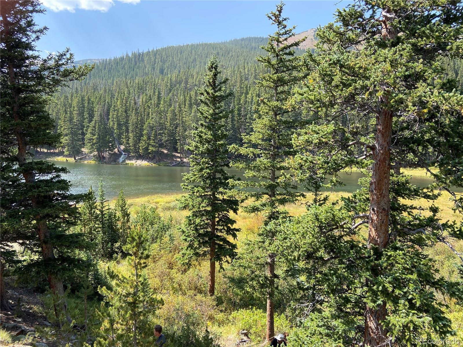MLS Image #39 for 563  brook drive,idaho springs, Colorado