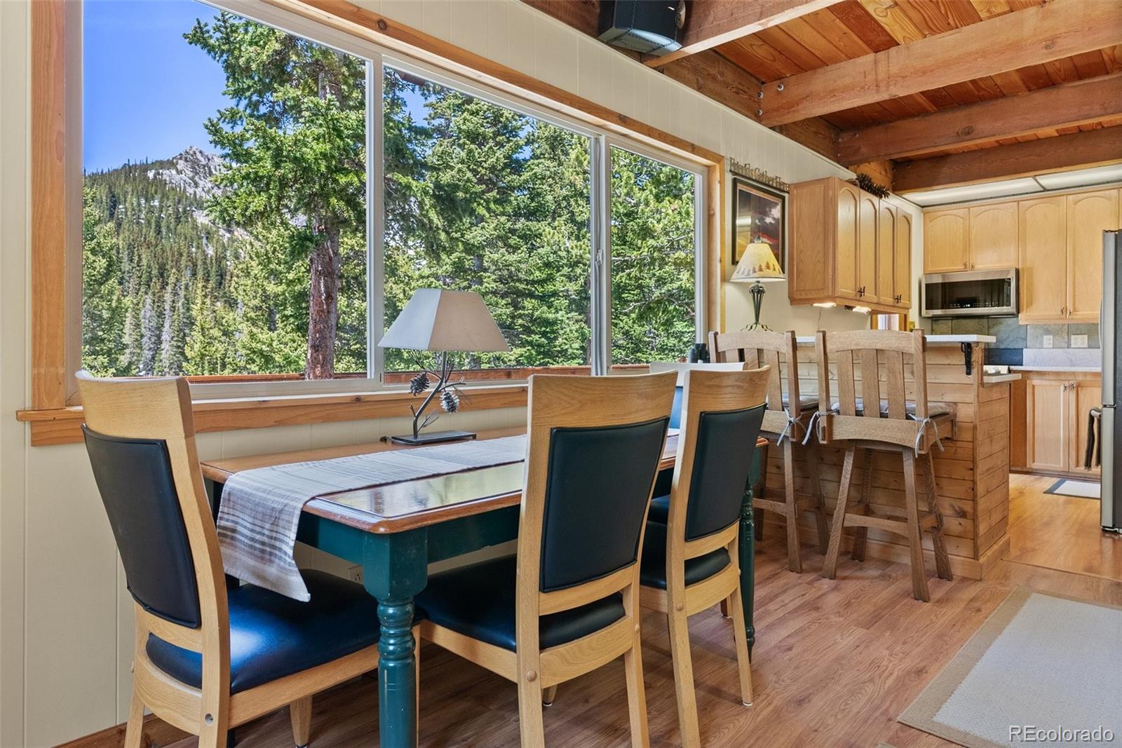 MLS Image #7 for 563  brook drive,idaho springs, Colorado