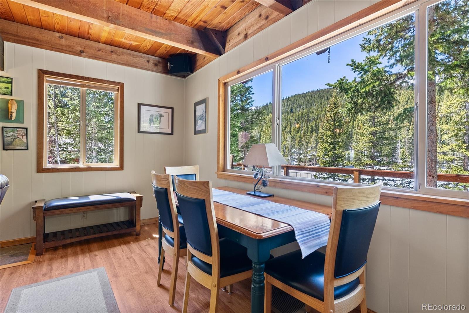 MLS Image #8 for 563  brook drive,idaho springs, Colorado